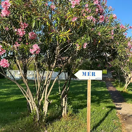 Marina Di Pinarello Mini 6 Personnes A 400 M De La Zonza