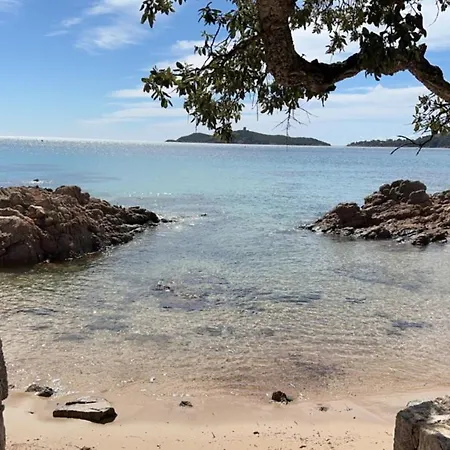 Marina Di Pinarello Mini 6 Personnes A 400 M De La Lejlighed Zonza