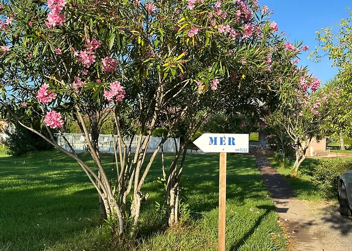 Marina Di Pinarello Mini 6 Personnes A 400 M De La Zonza